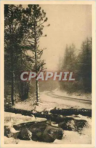 Ansichtskarte AK Mont Aigoual La route de Valleraugue au Mont Aigoual