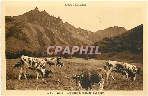 Cartes postales L'Auvergne Paysage Vallee d'Enfer Vaches