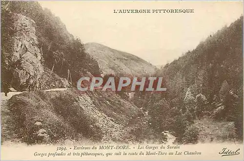 Cartes postales Environs du Mont Dore Les Gorges du Surain