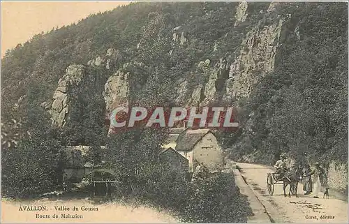 Cartes postales Avallon Vallee du Cousin Route de Meluzien Voiture a ane Mule