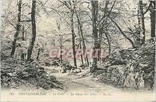 Cartes postales Fontainebleau La Foret La Gorge aux Loups