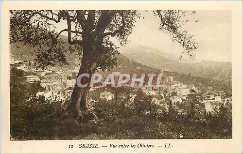 Cartes postales Grasse Vue entre les Oliviers