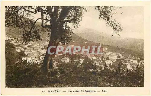 Cartes postales Grasse Vue entre les Oliviers