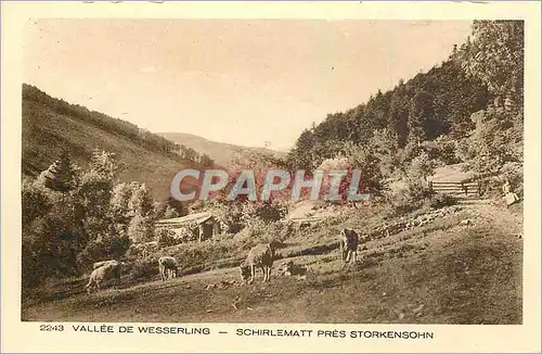 Cartes postales Vallee de Wesserling Schirlematt pres Storkensohn