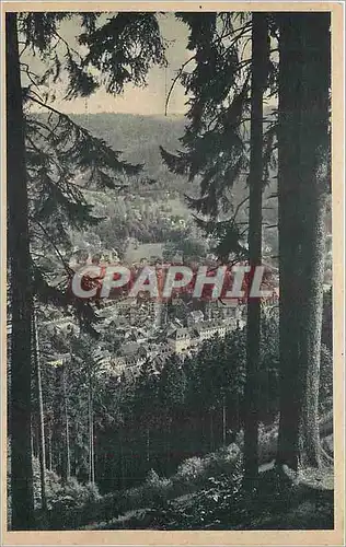 Cartes postales Triberg Schwarzwald