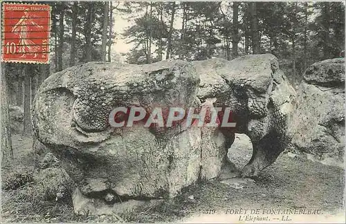 Ansichtskarte AK Foret de Fontainebleau L'Elephant