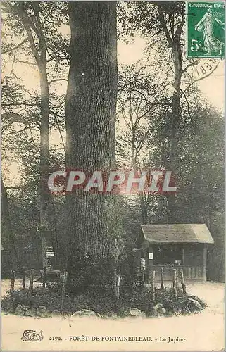 Ansichtskarte AK Foret de Fontainebleau Le Jupiter