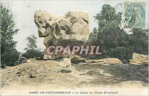 Cartes postales Foret de Fontainebleau Le Sphinx des Druides Franchard