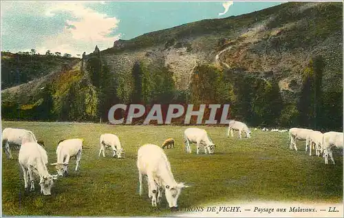Cartes postales Environs de Vichy Paysage aux Malavaux