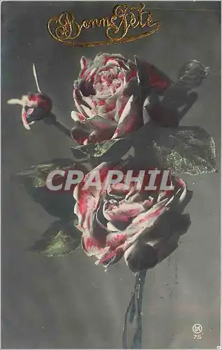 Cartes postales Bonne Fete