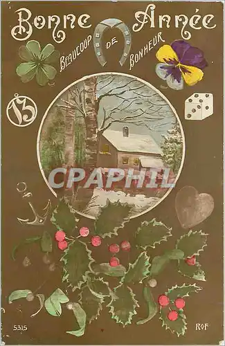 Cartes postales Bonne Annee De Fleur Fer a cheval