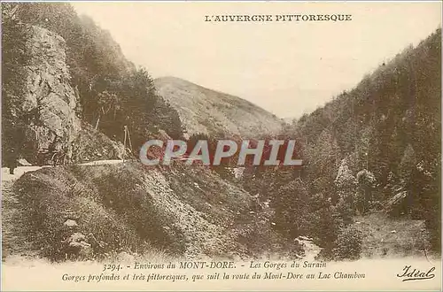 Cartes postales Environs du Mont Dore Les Gorges du Surain