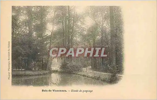 Cartes postales Bois de Vincennes Etude de Paysage