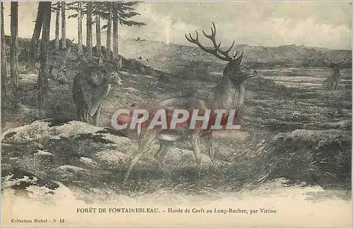 Cartes postales Foret de Fontainebleau Harde de Cerfs au Long Rocher par Virion