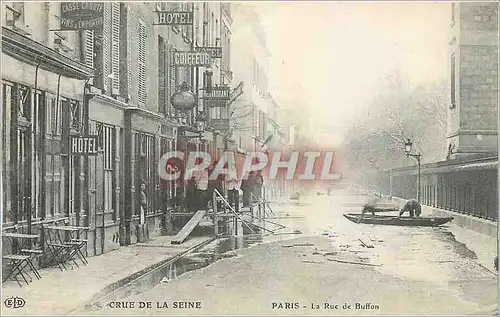 Cartes postales Crue de la Seine Paris La Rue de Buffon