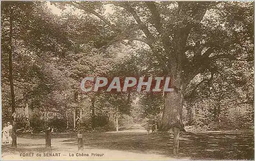 Cartes postales Foret de Senart Le Chene Prieur