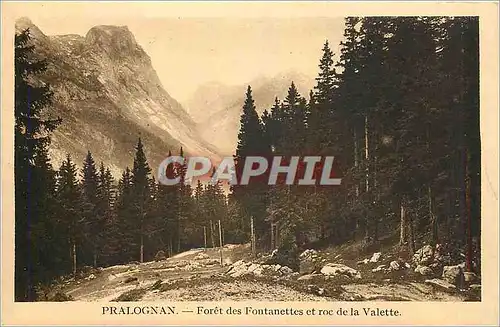 Cartes postales Pralognan Foret des Fontanettes et roc de la Valette