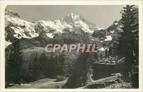 Ansichtskarte AK Murren Breithorn