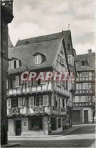 Cartes postales moderne Colmar Vieilles Maisons de la Grand rue