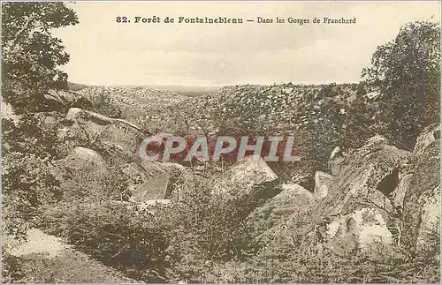 Ansichtskarte AK Foret de Fontainebleau Dans les Gorges de Franchard