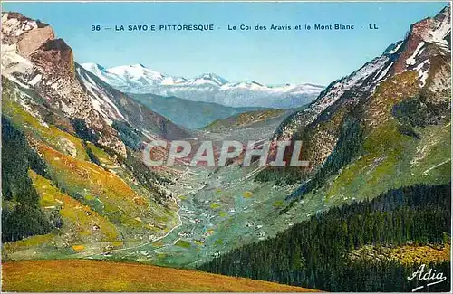 Ansichtskarte AK La Savoie Pittoresque Le Col des Aravis et le Mont Blanc