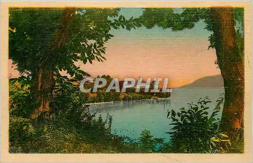 Cartes postales Env d'Aix Les Bains Lac du Bounget L'Abbaye d'Hautecombe