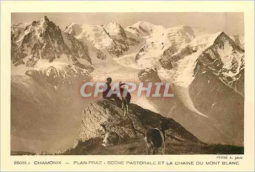 Ansichtskarte AK Chamonix Plan Praz Scene Pastorale et la Chaine du Mont Blanc Chevre Chevres