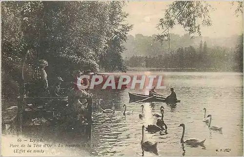 Cartes postales Lyon Parc de la Tete d'Or La buvette et le lac Cygnes