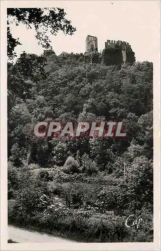 Cartes postales moderne Environs de Limoges Les Ruines de Chalusset