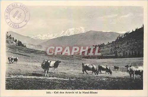 Ansichtskarte AK Col des Aravis et le Mont Blanc Vaches