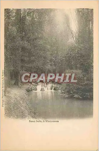 Cartes postales Sous bois a Vincennes