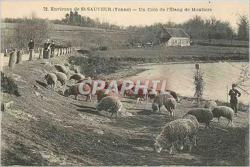 Cartes postales Environs de St Sauveur Yonne Un Coin de l'Etang de Moutiers Moutons