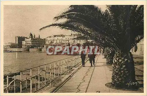 Cartes postales Cote d'Azur Saint Raphael Var Boulevard Felix Martin
