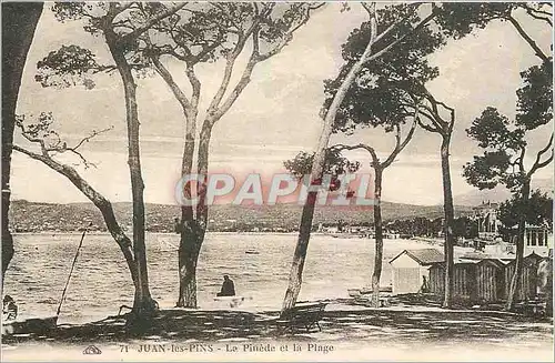 Cartes postales Juan les Pins La Pinede et la Plage