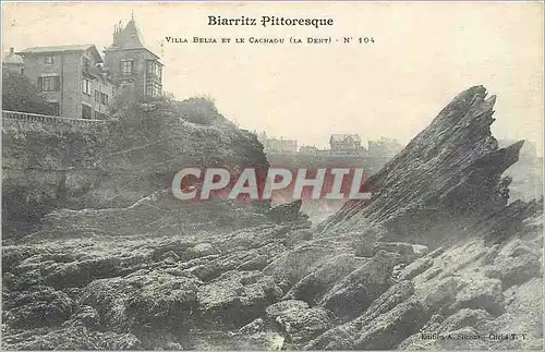 Cartes postales Biarritz Pittoresque Villa Belza et le Cachaou