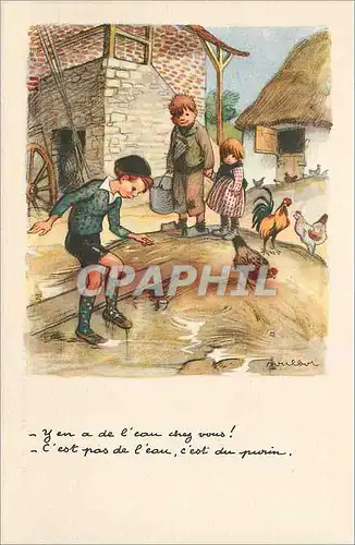 Cartes postales Ligue Nationale Contre le Taudis  Illustrateur Poulbot Coq Poule