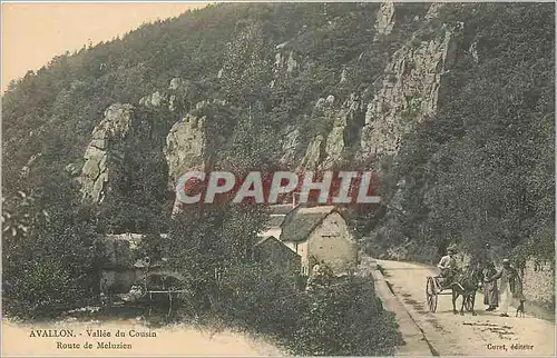 Ansichtskarte AK Avallon Vallee du Cousin Route de Meluzien Voiture a ane Mule