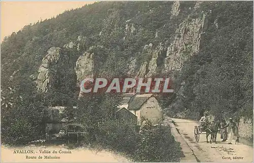 Cartes postales Avallon Vallee du Cousin Route de Meluzien Voiture a ane Mule