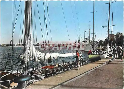 Cartes postales moderne Saint Malo I et V Le Falaise Bateaux