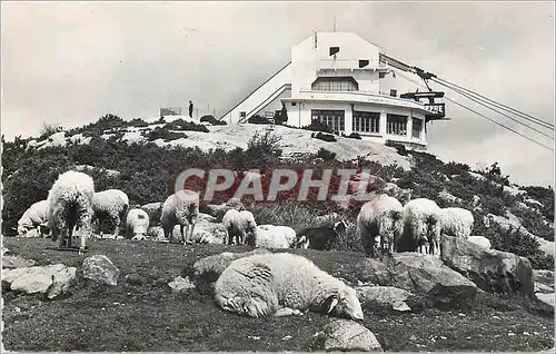 Moderne Karte Telepherique du Beout La Gare Superieure Moutons