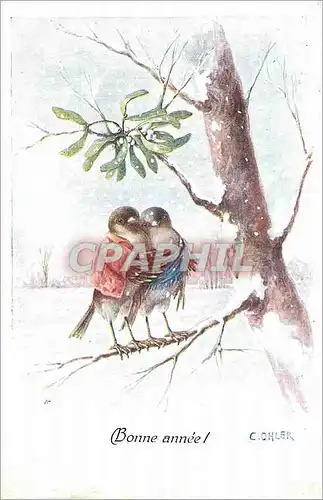 Cartes postales Bonne Annee Oiseaux