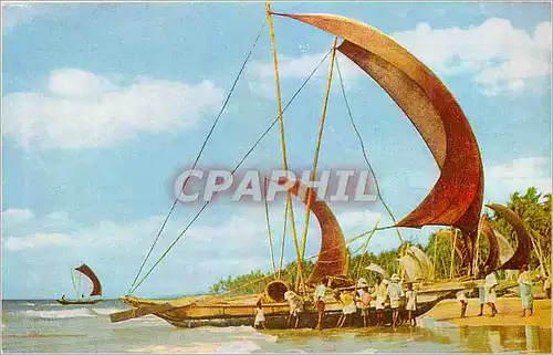 Cartes postales moderne Fishing Catamaran Boats Sri Lanka Bateau