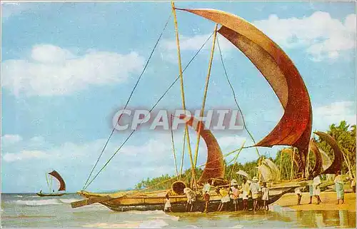 Moderne Karte Fishing Catamaran Boats Sri Lanka Bateau