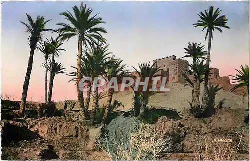 Cartes postales moderne Sud Marocain Kasbah de Tifoultout