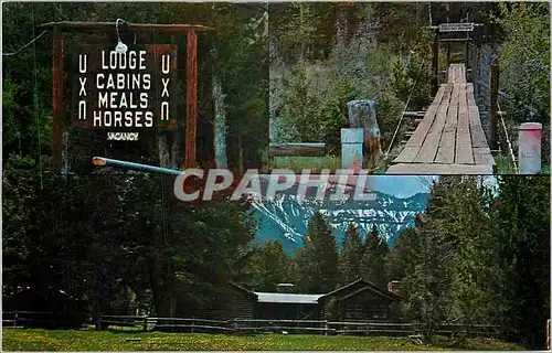 Cartes postales moderne UXU Lodge Wapiti Wyoming