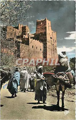 Cartes postales moderne Scenes et Types La Casbah et l'Amandier Ane Mule