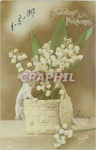 Cartes postales Souvenir Printemps Fleurs Santon