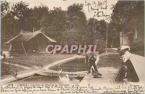 Cartes postales Lyon Un Coin du Parc de la Tete d'Or