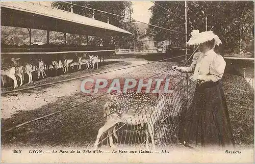 Cartes postales Lyon Le Parc de la Tete d'Or Le Parc aux Daims