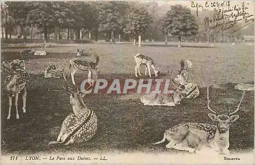 Cartes postales Lyon Le Parc aux Daims